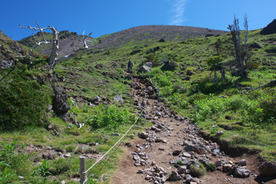 日光 白根山 写真