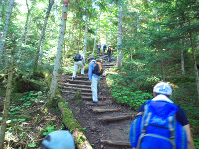 日光 白根山 写真