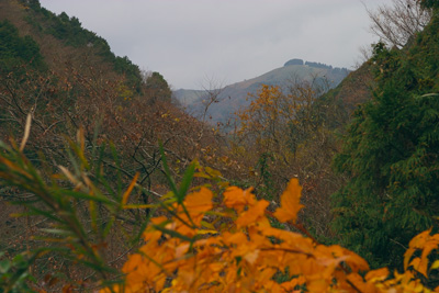 西丹沢　大野山　写真