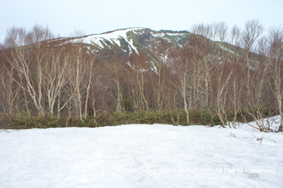 菅平牧場 四阿山 写真