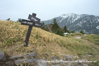 菅平牧場 四阿山 写真