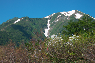 越後駒ヶ岳　登山　行程　写真　説明
