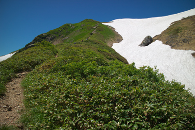 越後駒ヶ岳　登山　行程　写真　説明