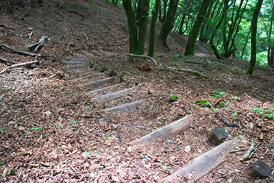 櫛形山 登山 写真