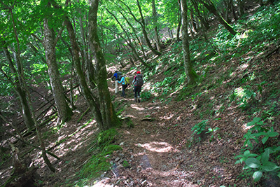 櫛形山 登山 写真