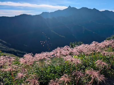 鷲羽岳 写真